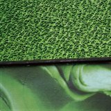 Stadtbild Intervention Leni Hoffmenn