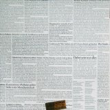 Michael Sailstorfer, Pulheim gräbt, Stadtbild-Intervention, Pulheim